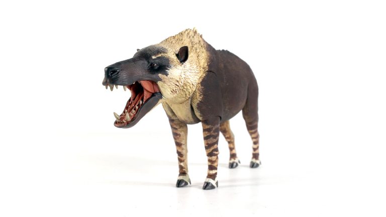 Cenozoic Andrewsarchus painted prototype!