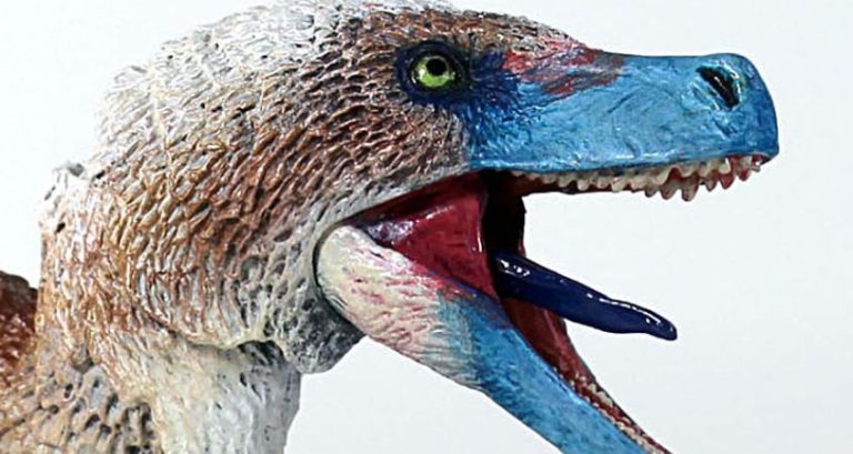 CreativeBeastStudio-315582-Best-Gift-Ideas-blogbanner1 Best Gift Ideas for the Dino Lover in Your Family