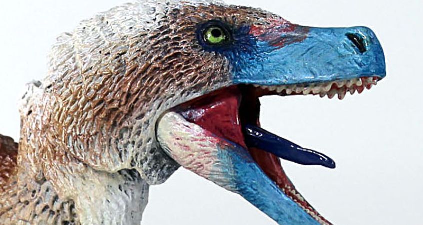 Best Gift Ideas for the Dino Lover in Your Family