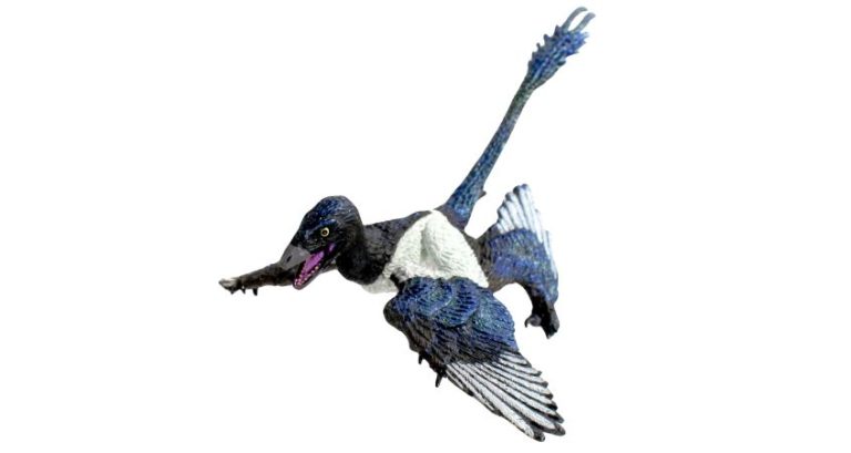 Dinosaurs came in many sizes. Fuel your love for dinos with facts about some of the tiny terrors of the Mesozoic, like the Microraptor and more.