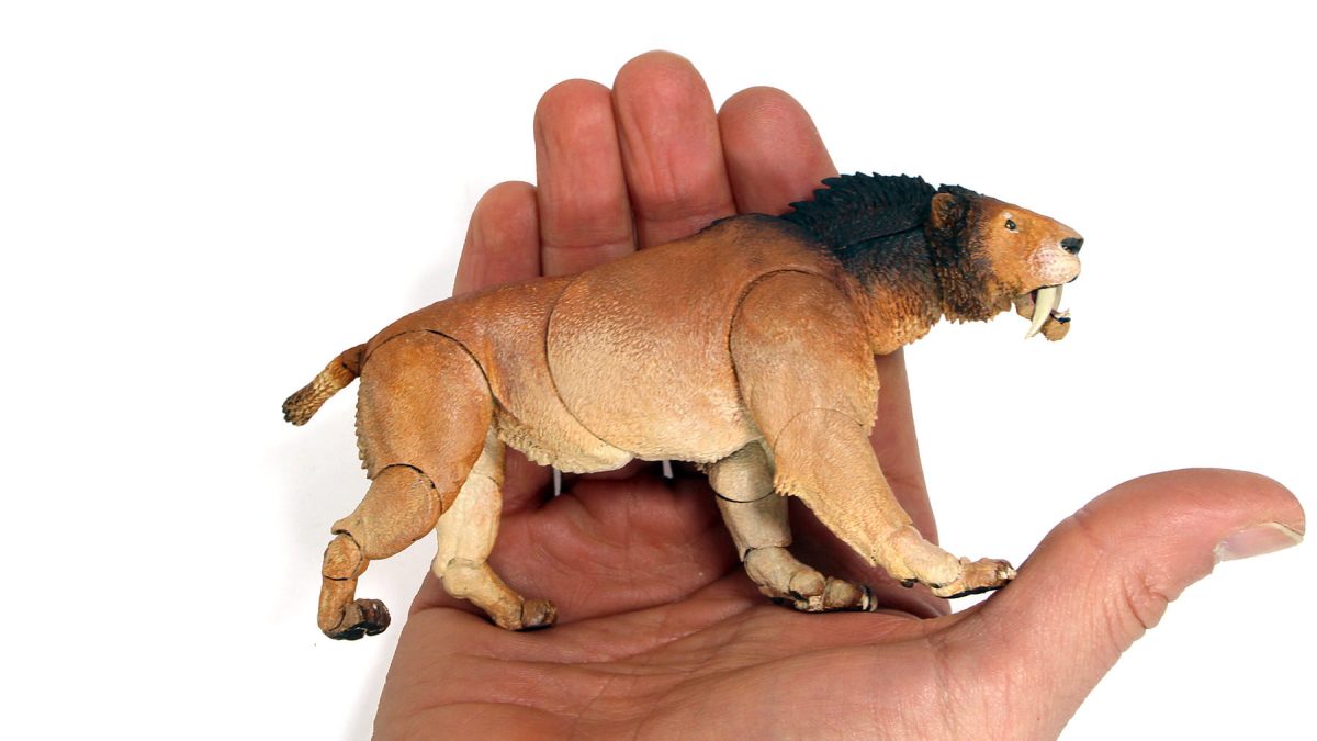Smilodon populator-painted-prototype10