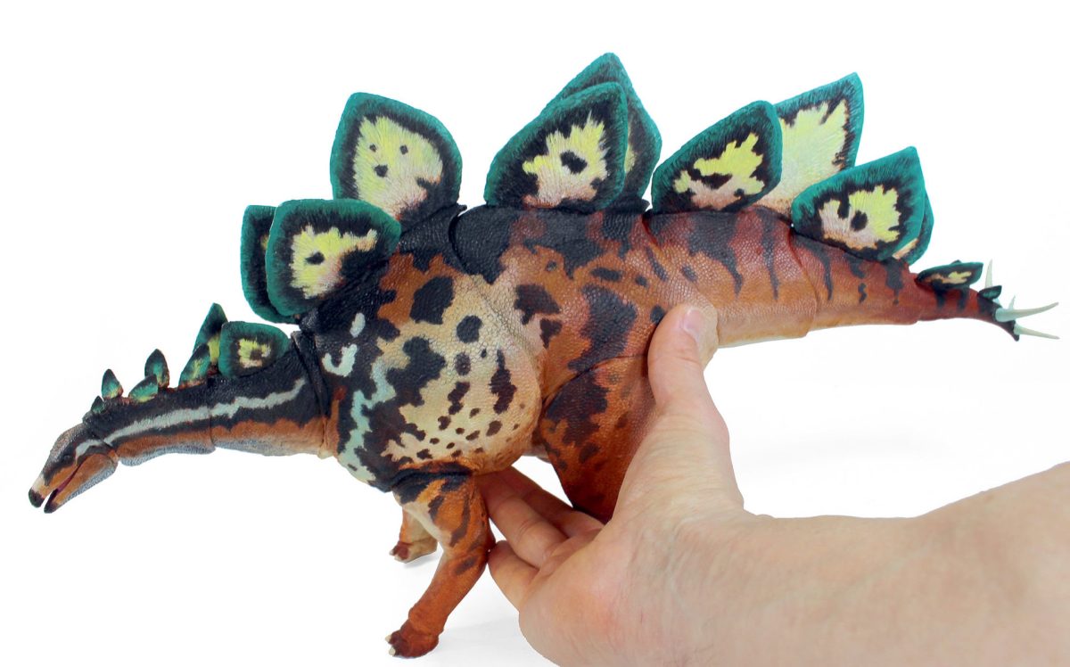 Stegosaurus stenops12