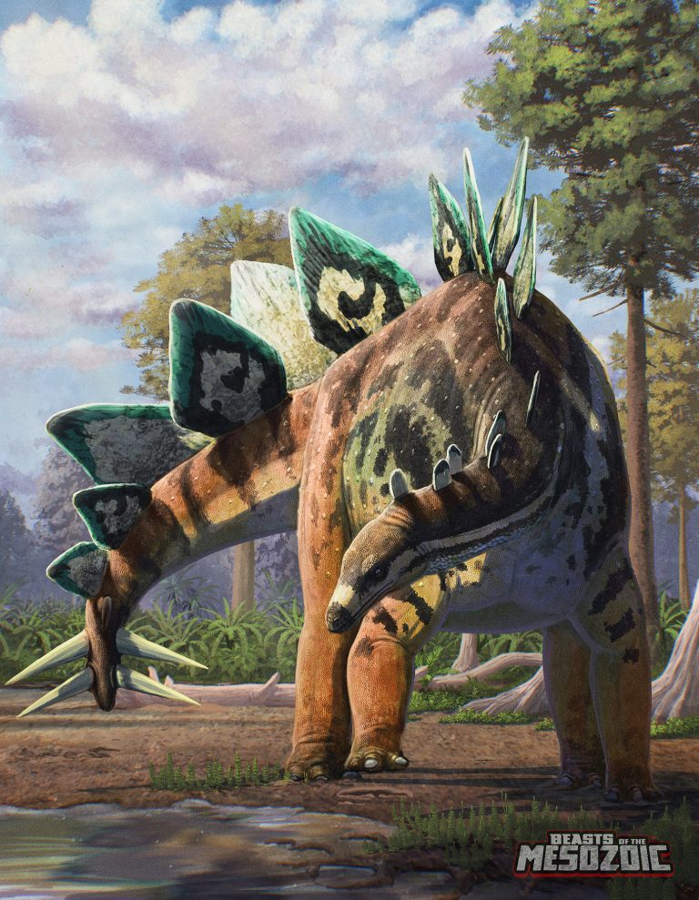 Stegosaurus full package art illustration