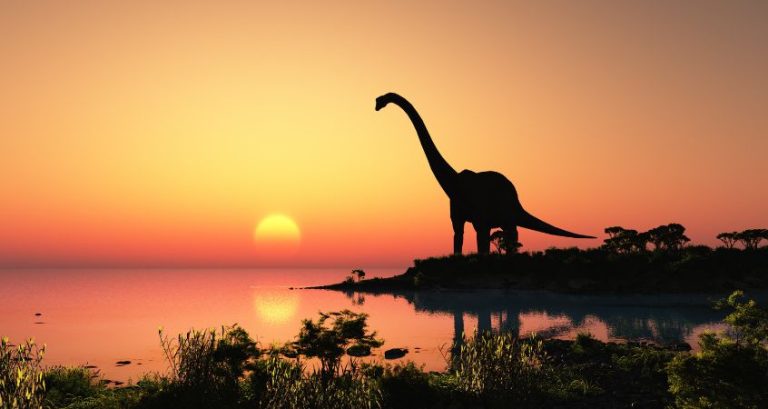 How Did Dinosaurs Communicate With Each Other?