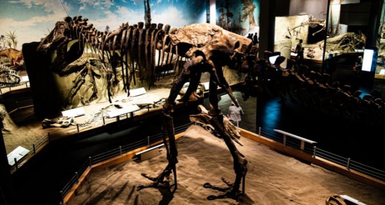 How Do We Know What Dinosaurs Really Looked Like? How Do We Know What Dinosaurs Really Looked Like?