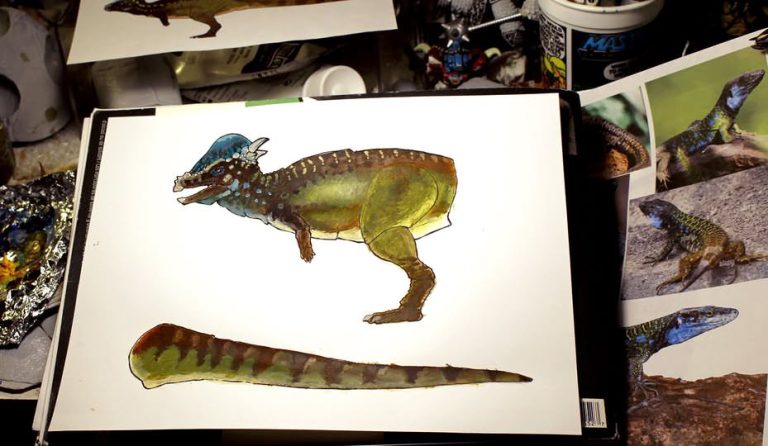 Work-in-progress of the Pachycephalosaurus color design!