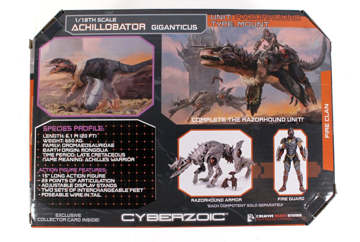Achillobator giganticus-final-shot23