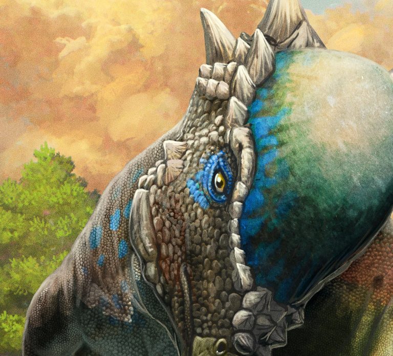 Pachycephalosaurus package art teaser by Gabriel Ugueto