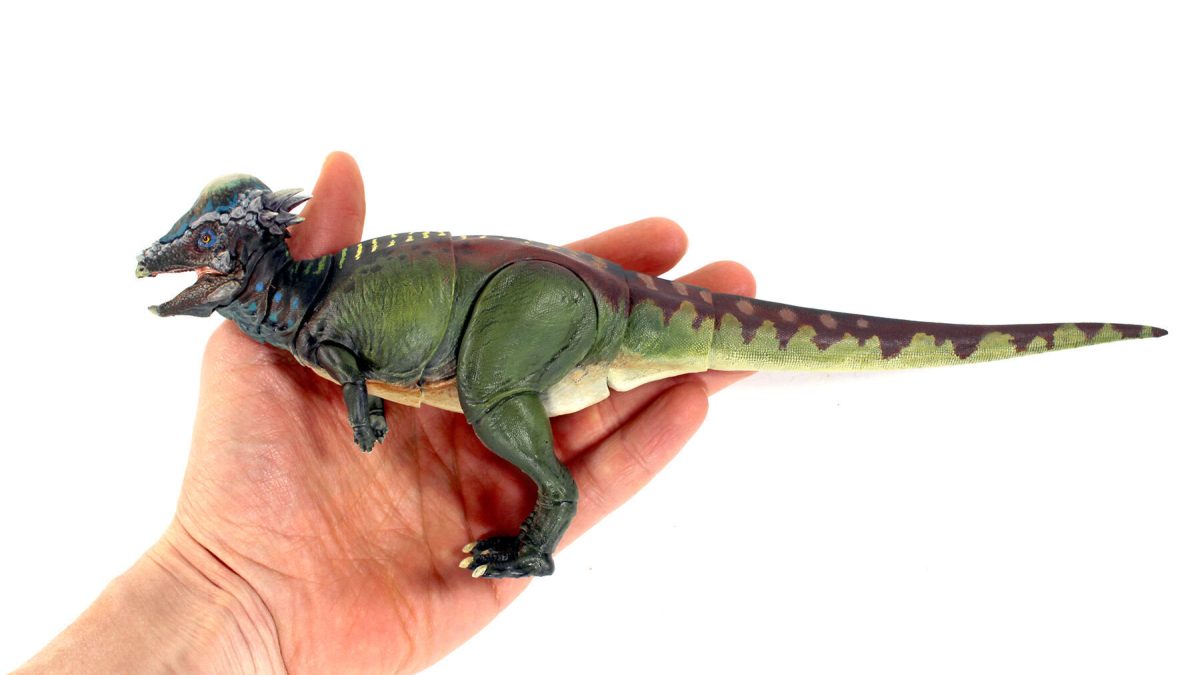 Pachycephalosaurus wyomingensis15