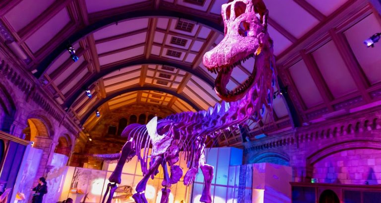 Which U.S. Museums Have the Best Dinosaur Exhibit?