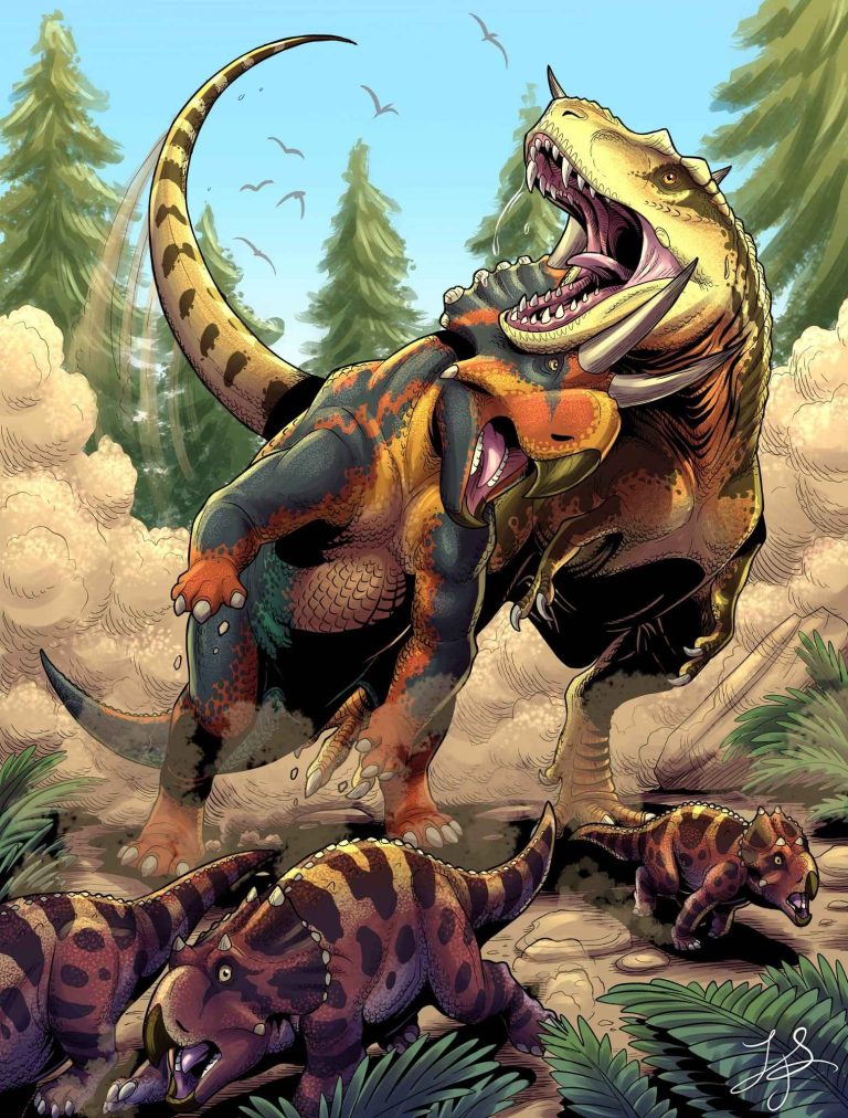 ZOIC art contest- Runner ups!