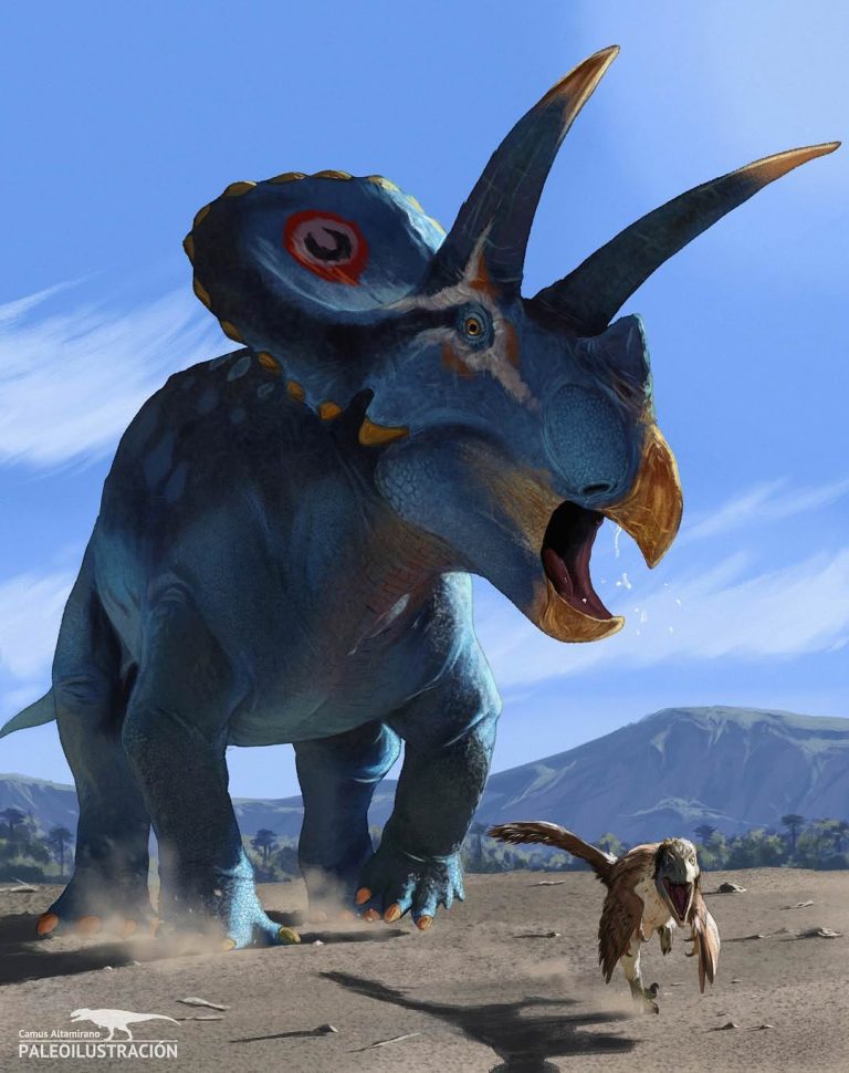 ZOIC art Paleo grand prize winner Camus Altamirano!