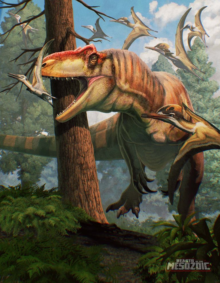 New package art first look of the 1/35th scale Allosaurus jimmadseni