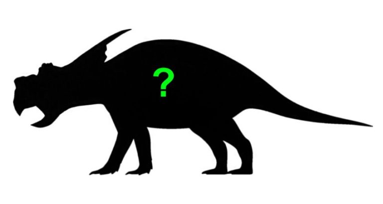 CreativeBeastStudio-357533-Unraveling-the-Mysteries-blogbanner1 Unraveling the Mysteries of the Achelousaurus