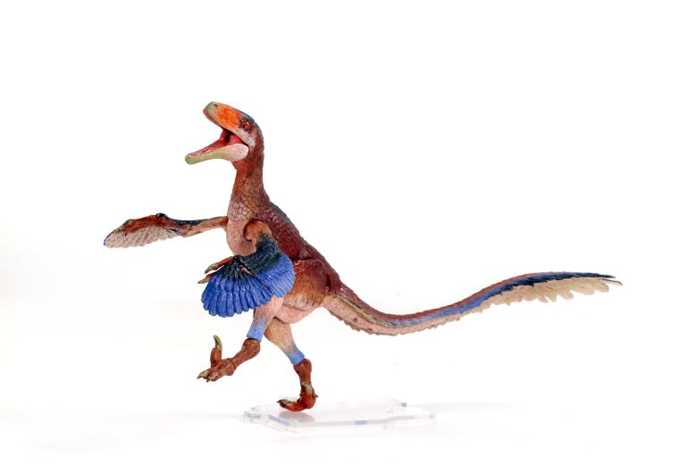 Deinonychus antirrhopus paint sample photos