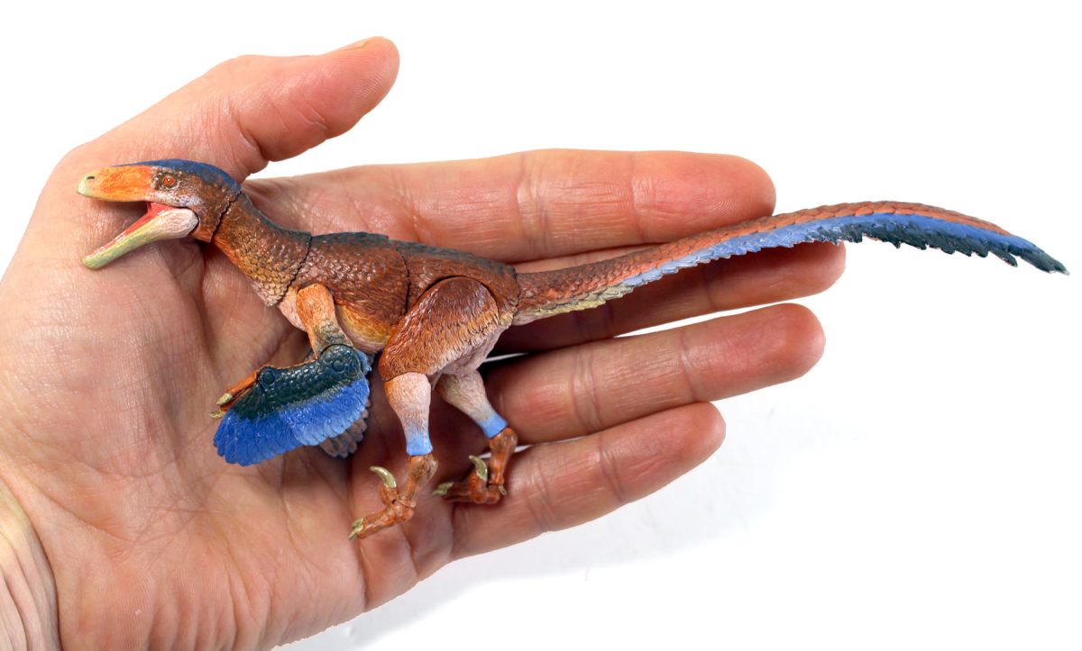 Deinonychus antirrhopus-preorder15