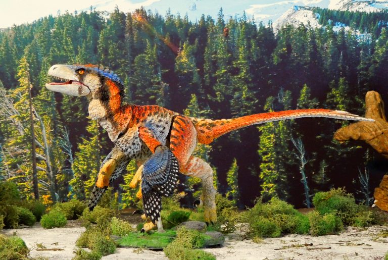 How Dinosaurs Adapted to Changing Climates in the Mesozoic