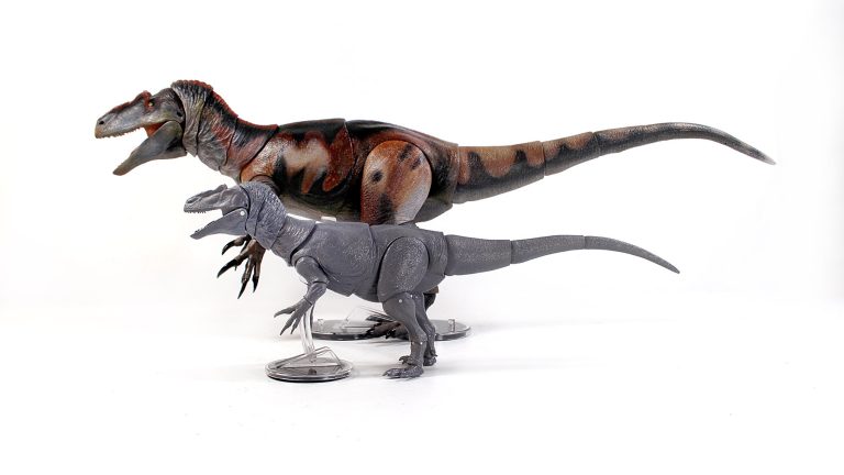 Allosaurus fragilis and jimmadseni fine cut photos