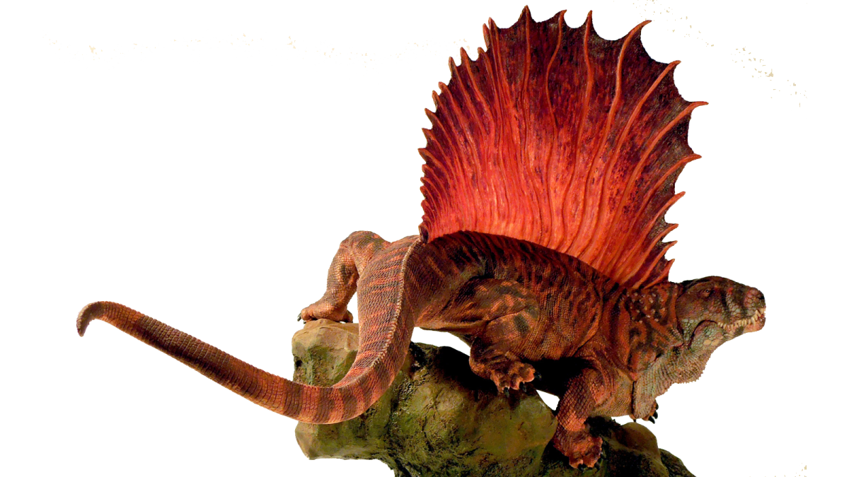 How Did the Paleozoic Era Influence the Mesozoic Era?