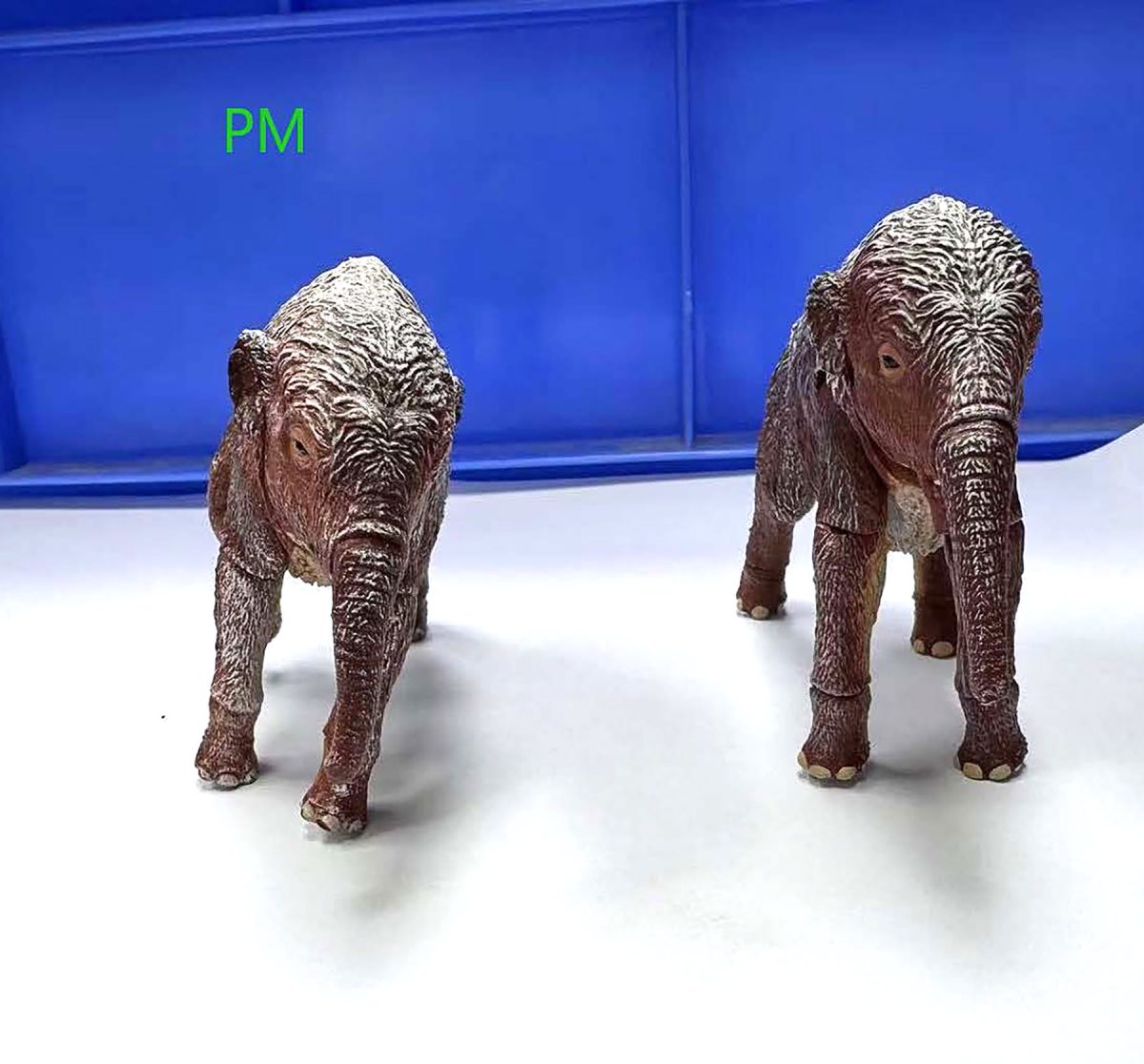 mammoths-paint-sample26