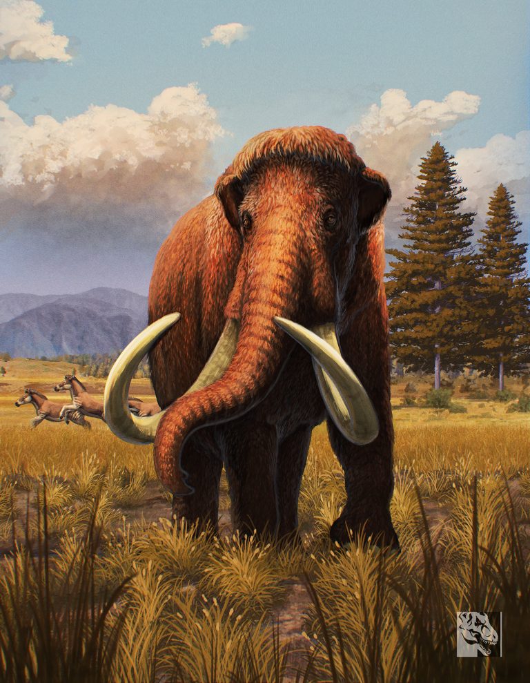 wooly-mammoth-package-art Wooly Mammoth package art by Gabriel Ugueto!