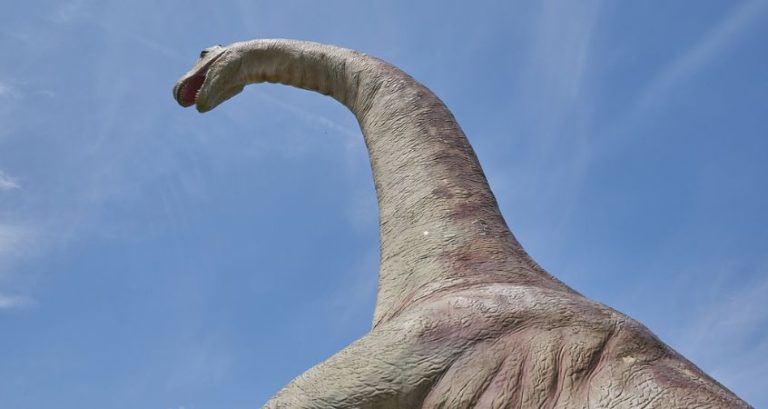 Dinosaur Life Cycles: Which Lived the Longest?