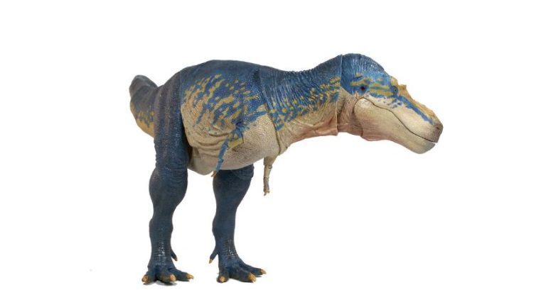 4 Interesting Facts and Figures About the Gorgosaurus