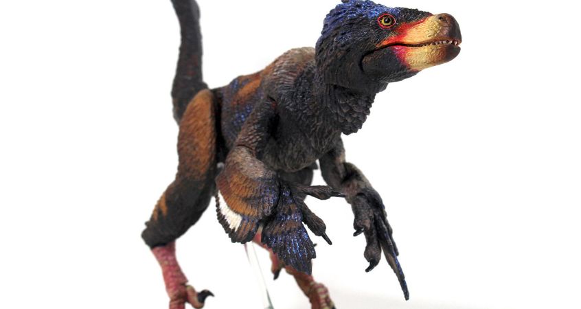 Are Owls and Other Birds of Prey Descendants of Raptors?