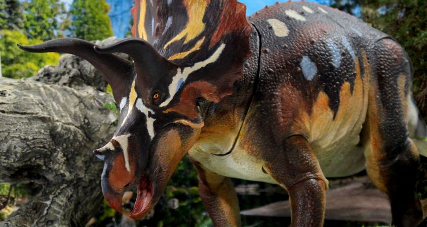 Where Can You Find Dinosaur Fossils in the U.S.?