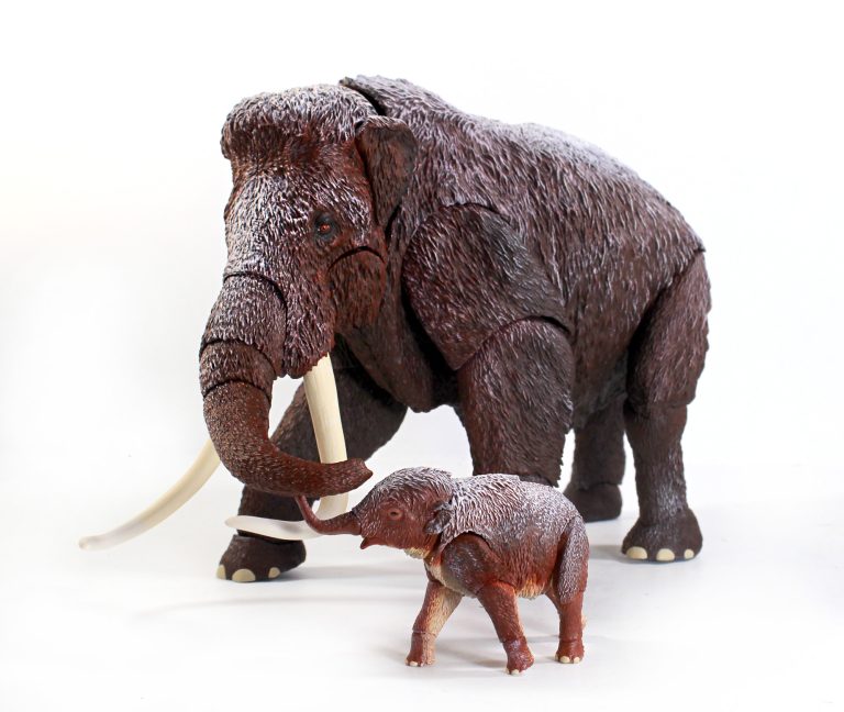 Wooly Mammoth paint sample photos