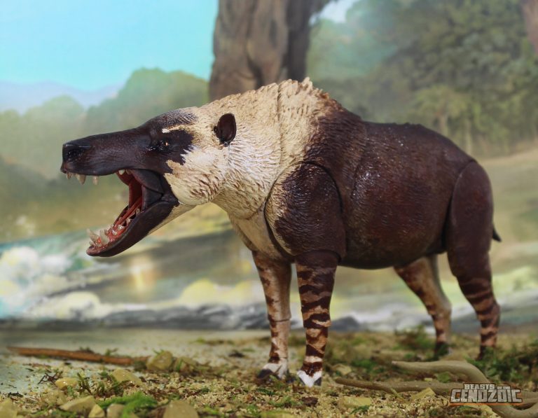 Andrewsarchus mongoliensis catalog shot!
