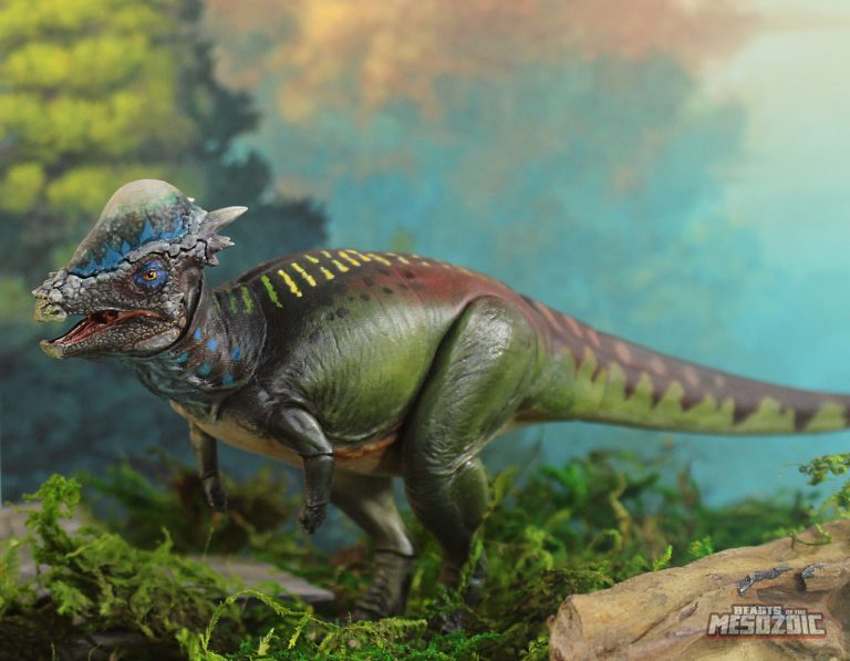 Pachycephalosaurus wyomingensis Catalog Shot