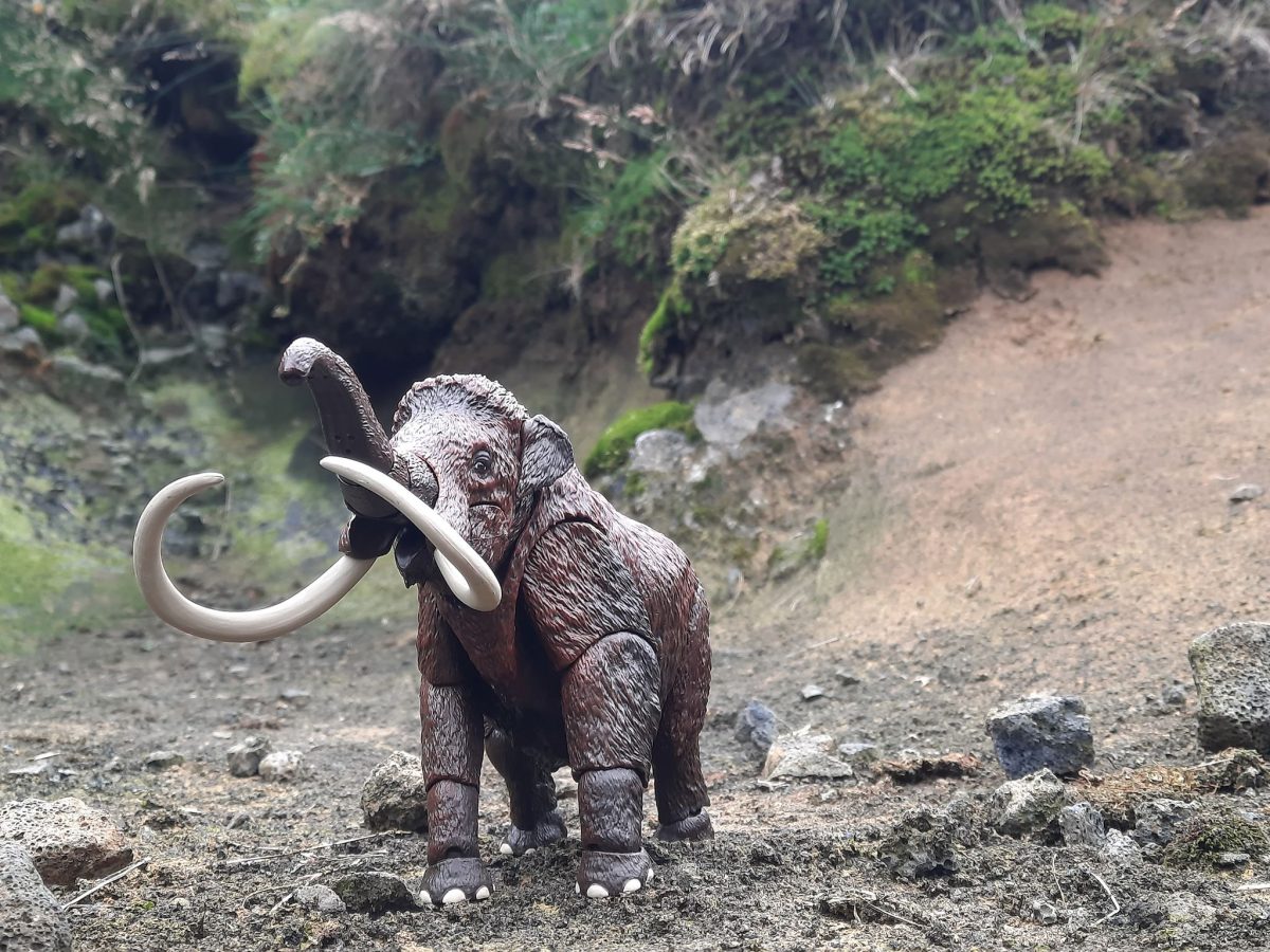 part2-in-iceland-mammoth19