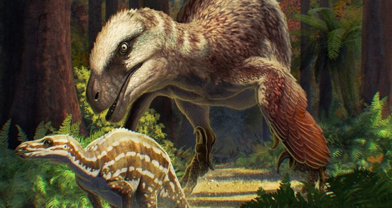 What Did Raptors Eat? Exploring the Raptor Diet