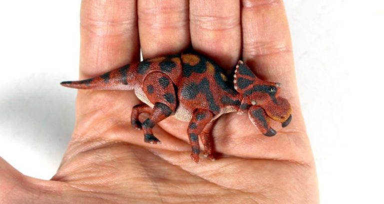Exploring Dwarf Dinosaurs: Facts You Might Not Know