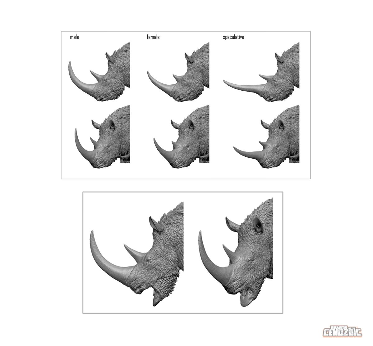 Woolly Rhino6