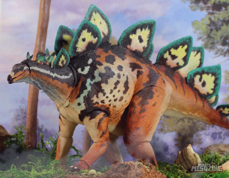 stego-botm-catalog-shot Stegosaurus stenops