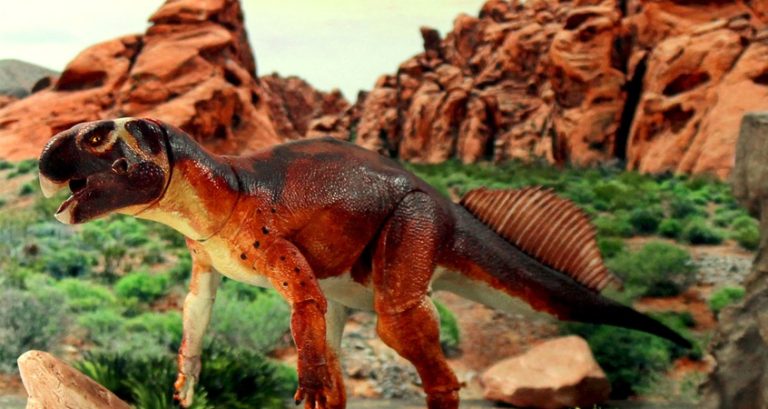 Psittacosaurus Mongoliensis: What We Know