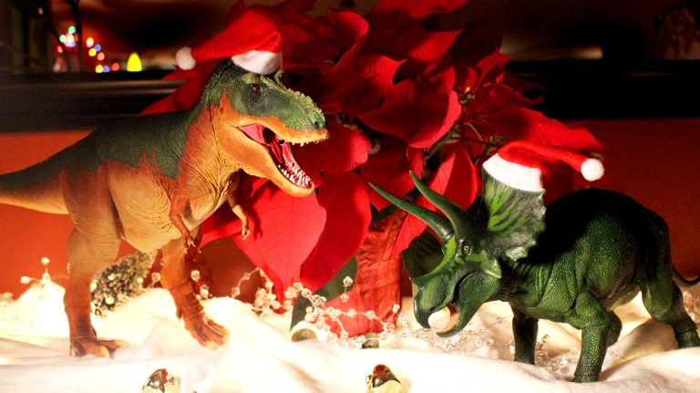 Last day to order for in-stock US shipments to arrive by Christmas with standard shipping