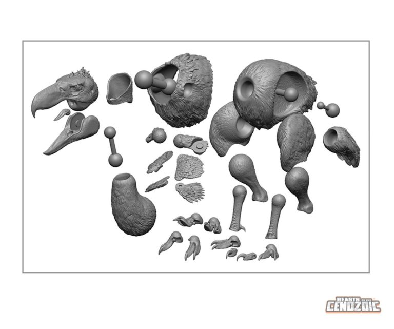Kelenken guillermoi final part look of the articulation and construction