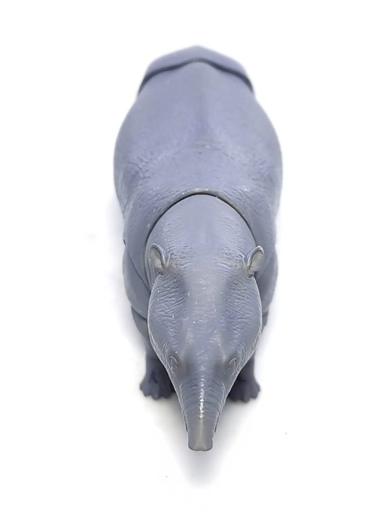 Moeritherium lyonsi1 1/18th scale Moeritherium lyonsi fine cut photos