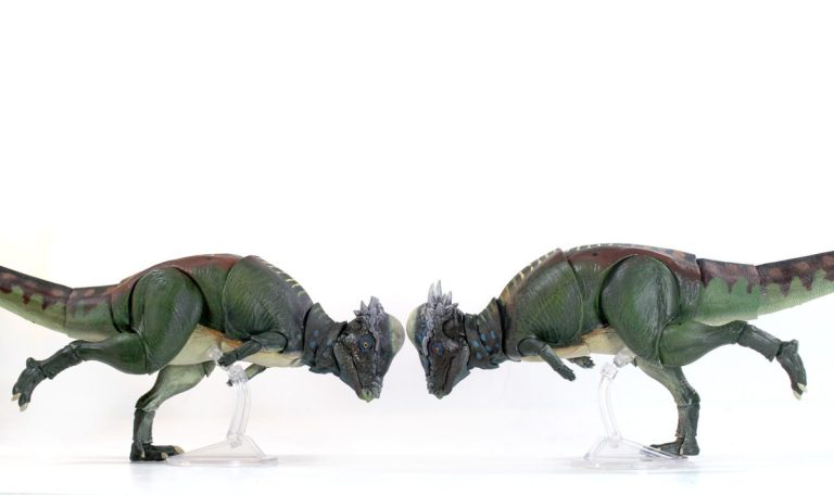 1/18th scale Pachycephalosaurus wyomingensis paint sample!