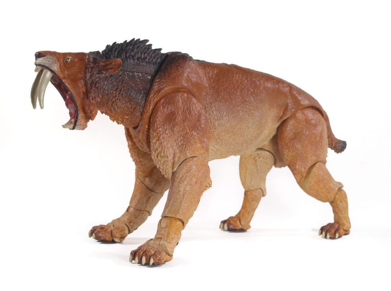 Smilodon populator (1/18th) paint sample gallery