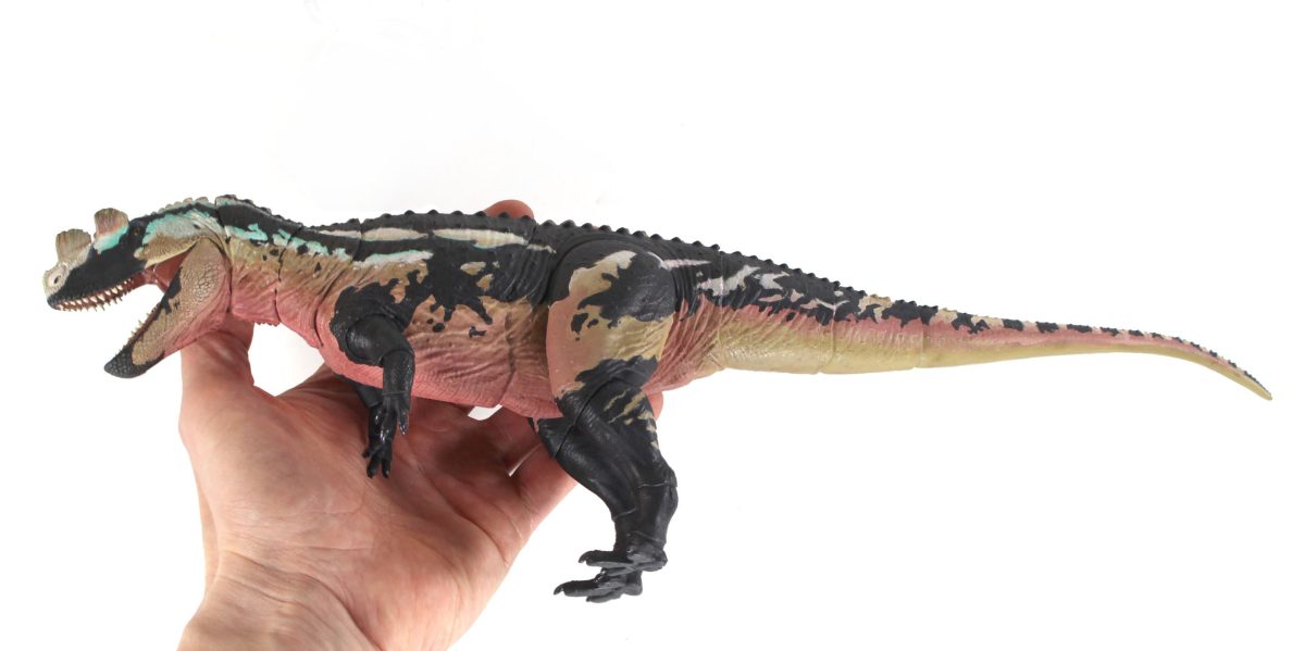 Ceratosaurus dentisulcatus-prototypes10