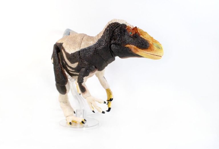 Yutyrannus hauli-preorder-new1 BOTM Yutyrannus hauli vers. 2 preorder and new paint sample!