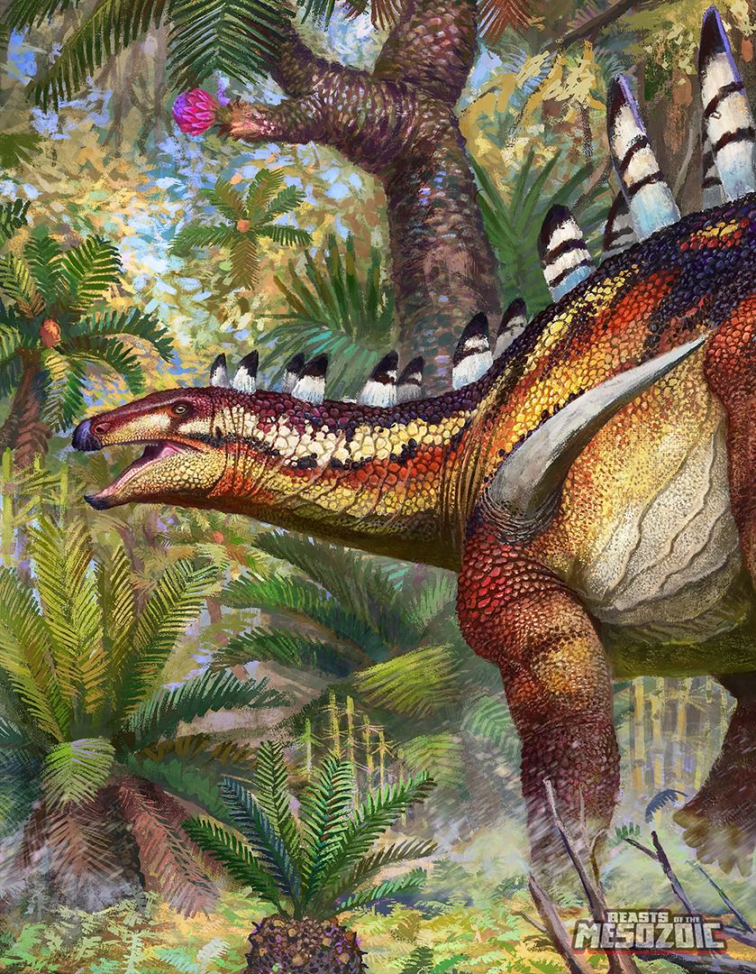 kentrosaurus-package-art2