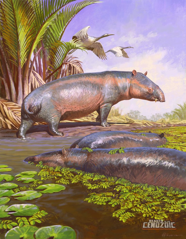 Moeritherium lyonsi amazing new package art!