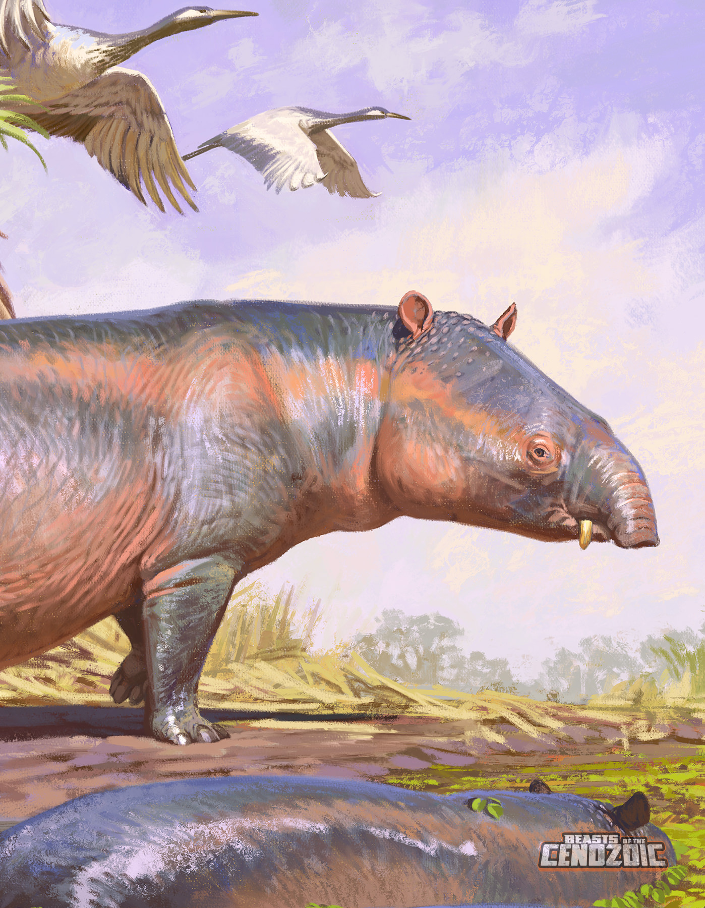 Moeritherium lyonsi-package-art-2