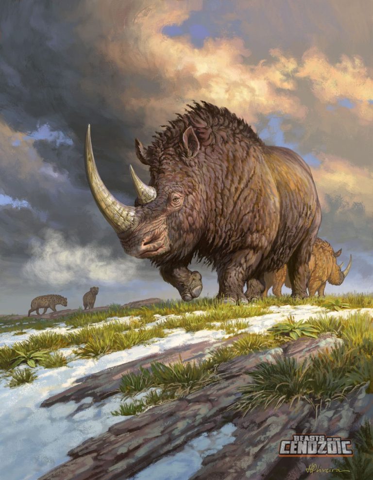 New Woolly Rhino artwork on the merch store
