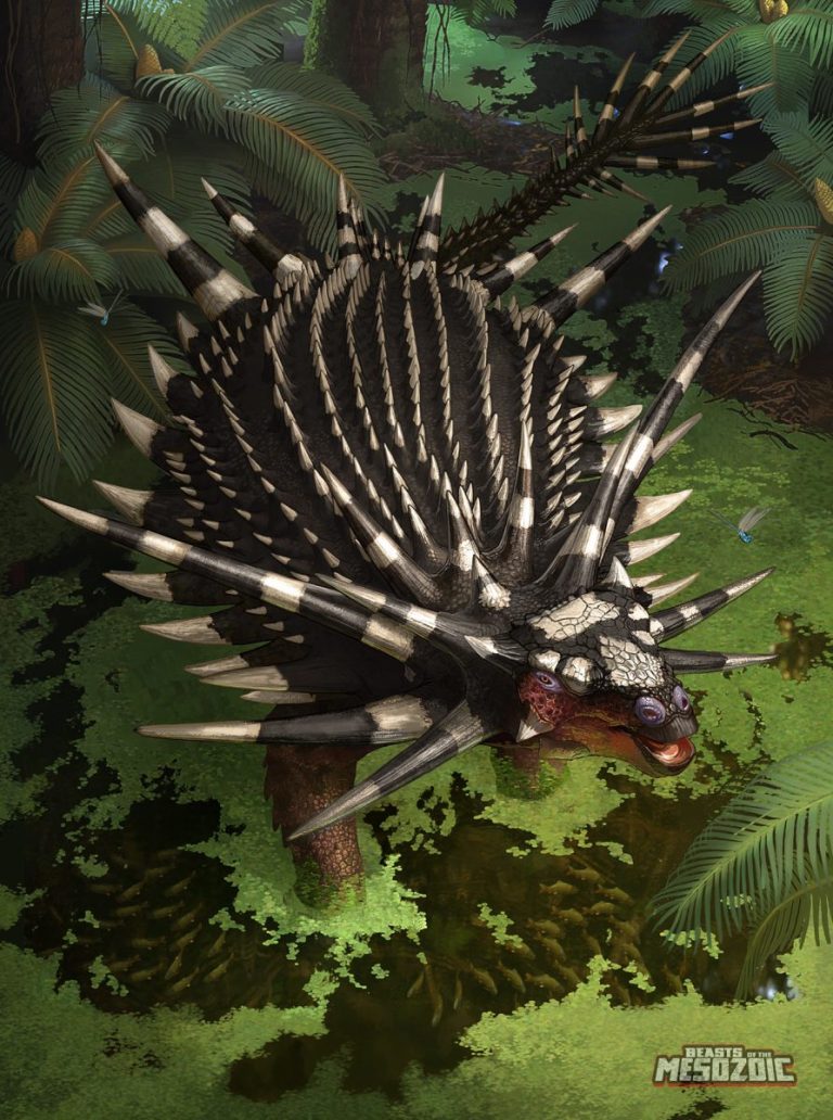 Spicomellus afer art reveal first look!